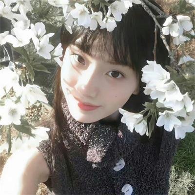 金式森林粤语